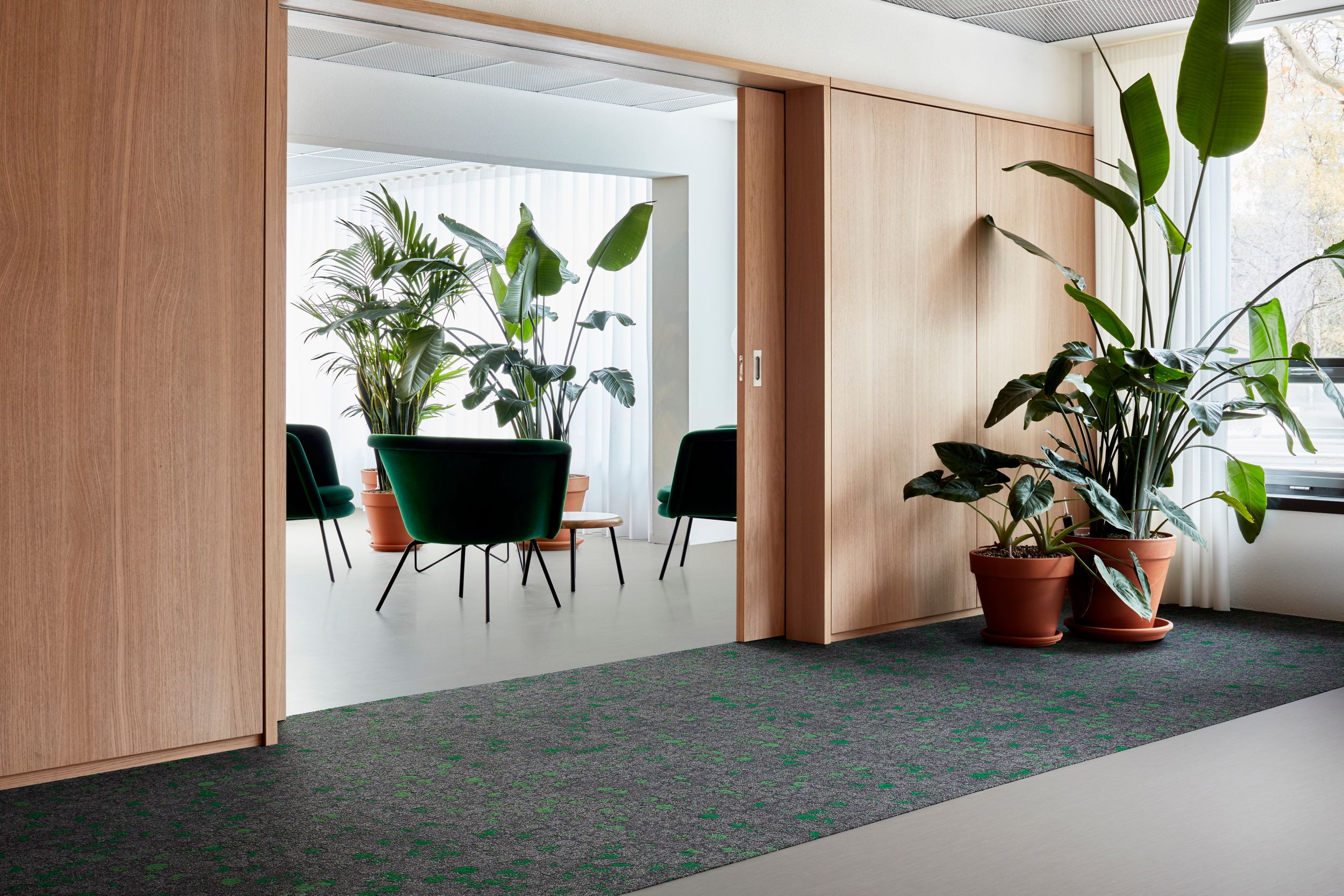 Interface Broome Street carpet tile and Brushed Lines LVT in seating area with plants image number 2